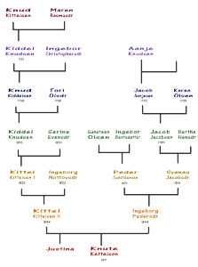 Knute Kittelson ancestry