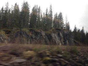 Scenery from Nordland train